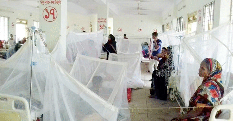২৪ ঘণ্টায় আরও ১২৩ জন ডেঙ্গু রোগী হাসপাতালে ভর্তি
