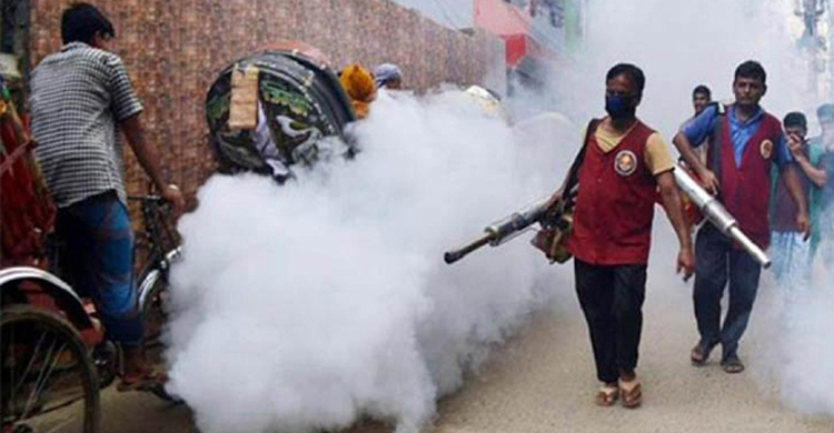 Dengue.jpg