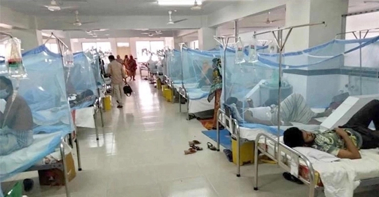 হাসপাতালে ভর্তি আরও ১১৮ ডেঙ্গুরোগী