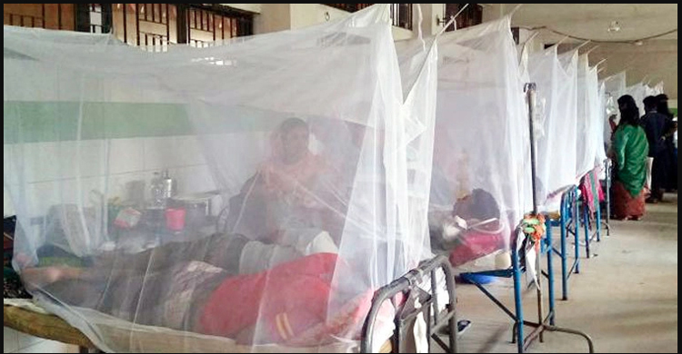 ডেঙ্গু রোগীর সংখ্যা ৯৯ হাজার ছাড়িয়েছে