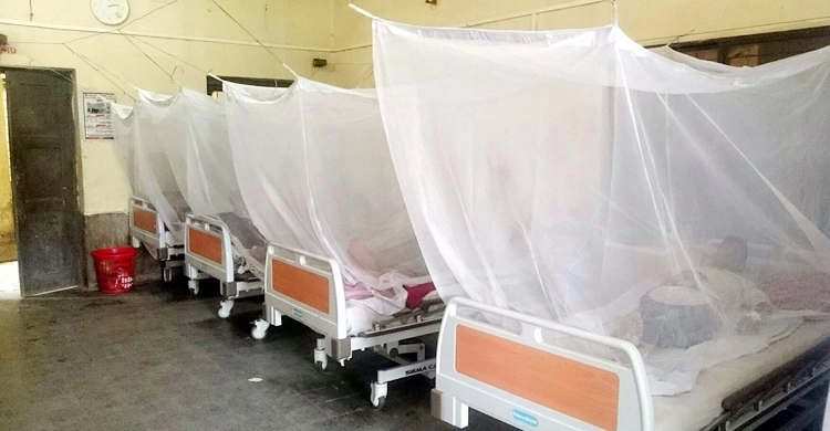 গত ২৪ ঘণ্টায় আরও ২৬ ডেঙ্গু রোগী হাসপাতালে ভর্তি