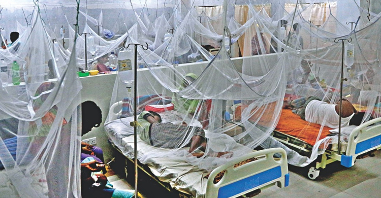 ডেঙ্গুর প্রকোপ বাড়ছেই : ২৪ ঘণ্টায় ১৪৩ রোগী হাসপাতালে ভর্তি