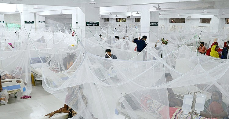 ২৪ ঘণ্টায় হাসপাতালে ভর্তি আরও ২১৪ ডেঙ্গুরোগী
