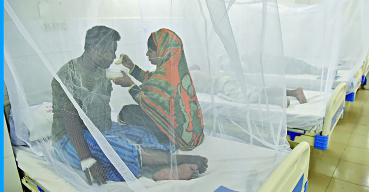 ডেঙ্গুতে আরও দুইজনের মৃত্যু, হাসপাতালে ভর্তি ১৮৯