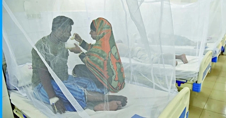 ২৪ ঘণ্টায় হাসপাতালে আরও ২ ডেঙ্গুরোগী
