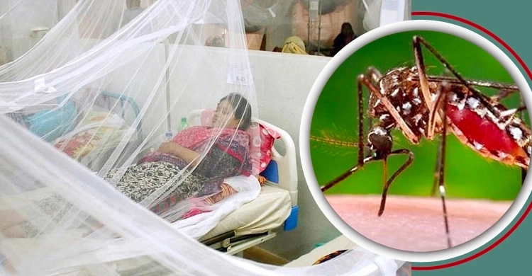 আরও ৪০ ডেঙ্গুরোগী হাসপাতালে, ৩৯ জনই ঢাকার