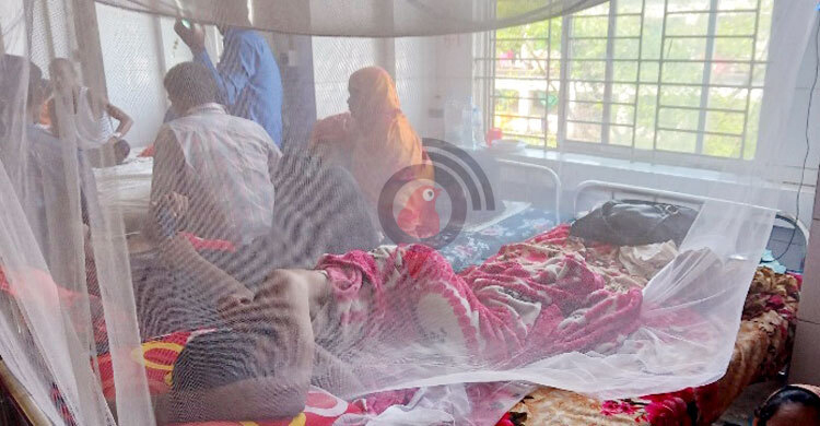 ডেঙ্গুতে আরও ২ মৃত্যু, হাসপাতালে ২৫৩ রোগী