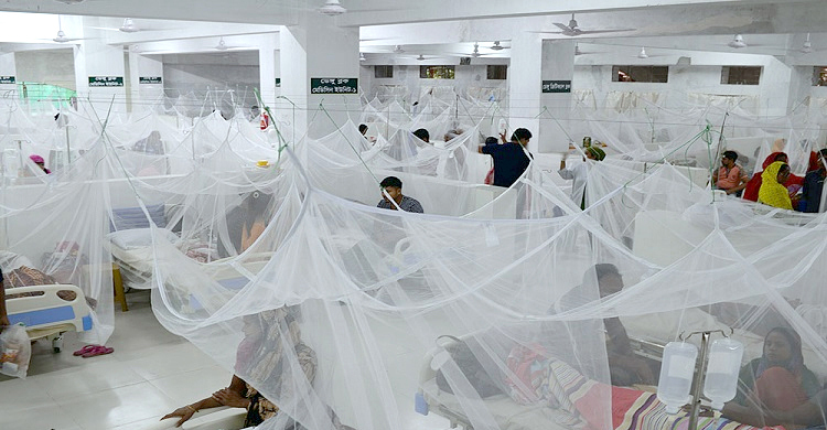 আরও ২৫৪ ডেঙ্গুরোগী হাসপাতালে