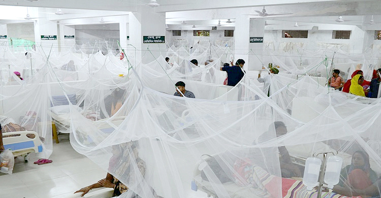 হাসপাতালে ভর্তি আরও ১১২ ডেঙ্গুরোগী