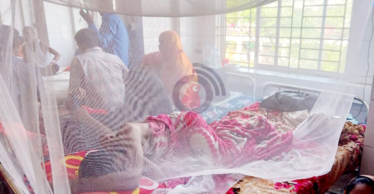 ২৪ ঘণ্টায় হাসপাতালে ৩০৮ ডেঙ্গুরোগী