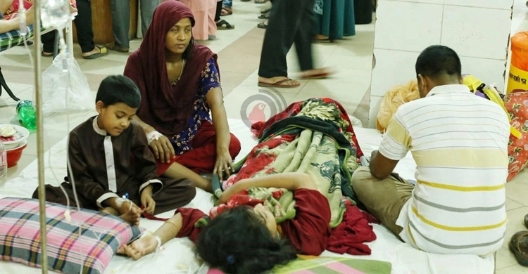 Two dengue patients hospitalized in 24 hrs