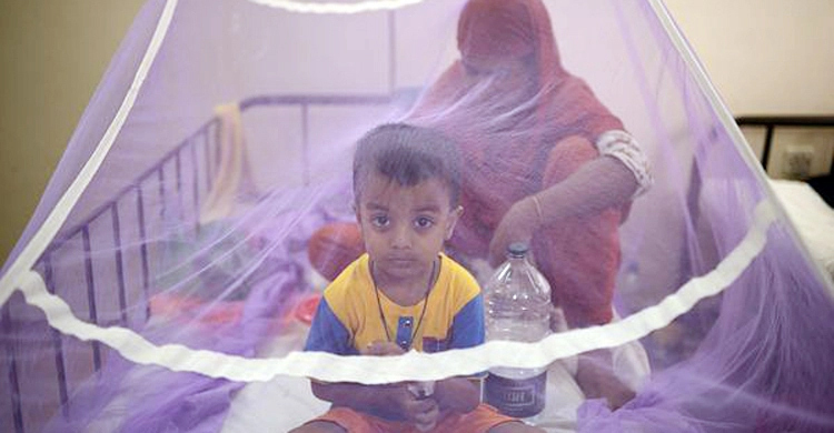 438 hospitalized with dengue fever in 24 hrs