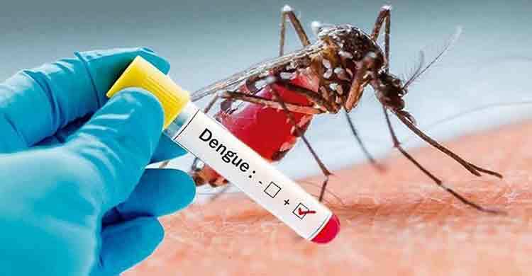 65 new dengue patients hospitalized in 24 hours