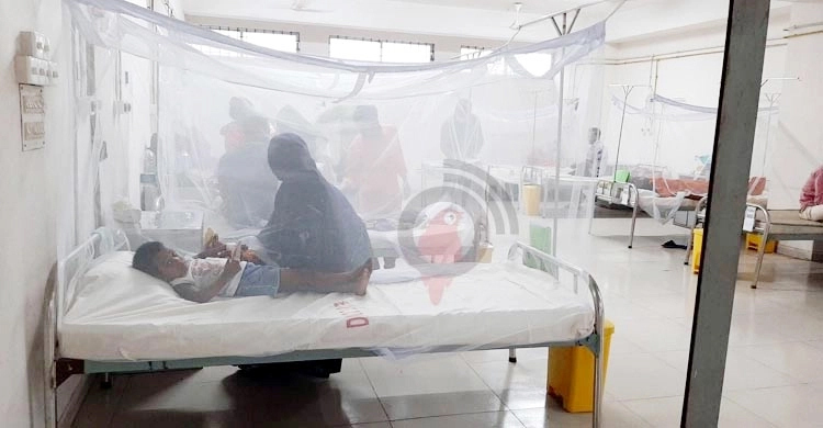 49 dengue patients hospitalized in 24 hrs