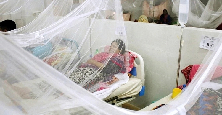 8 dengue patients hospitalised in 24 hrs