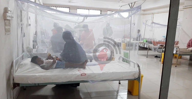 5 dengue patients die, 873 hospitalized in 24 hrs
