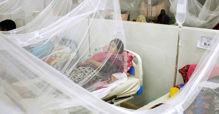 113 dengue patients hospitalized in 24 hrs