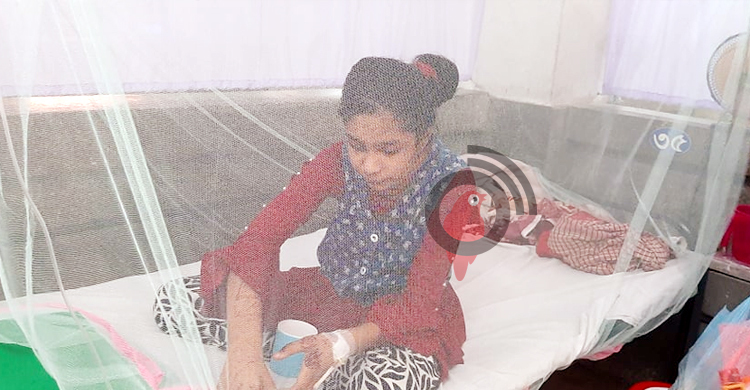 বাইরে গিয়ে ডেঙ্গু আক্রান্ত হচ্ছে শিশুরা