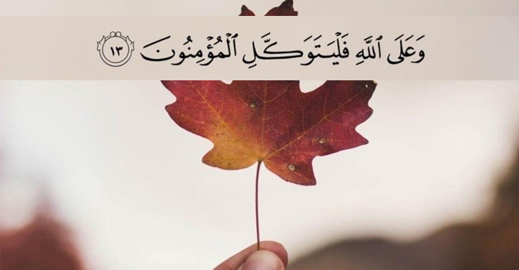 আল্লাহ ছাড়া অন্যের ওপর ভরসা করা যাবে কি?