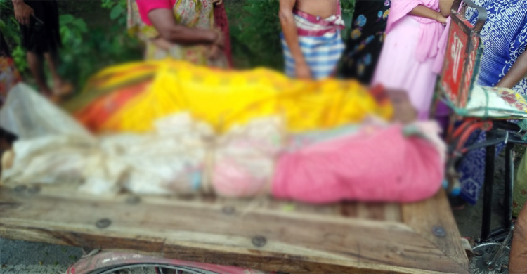 গরু বোঝাই ট্রাকচাপায় প্রাণ গেলো মা-মেয়ের