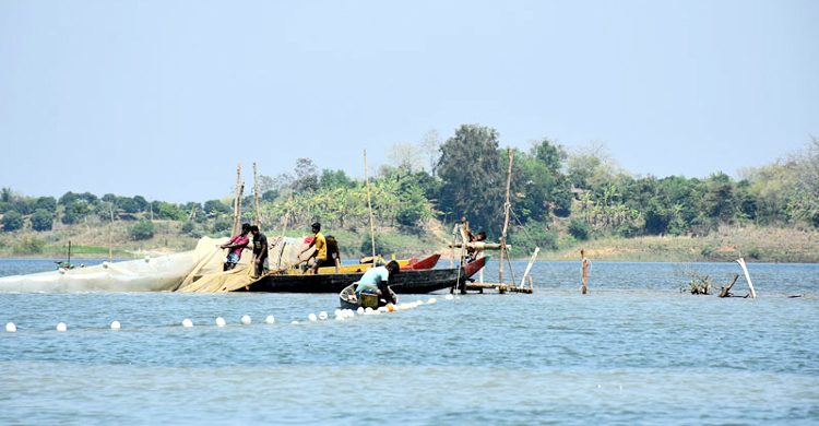 কাপ্তাই হ্রদে তিন মাস মাছ ধরা নিষিদ্ধ
