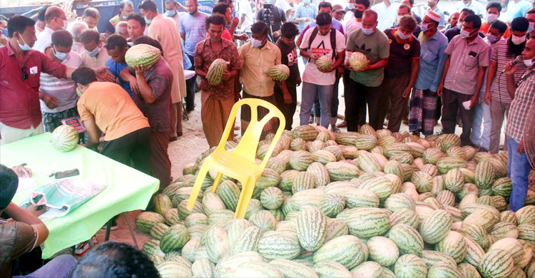 সিন্ডিকেট ভাঙতে তরমুজ বিক্রি করছেন মেয়র, প্রতি পিস ৪০ টাকা
