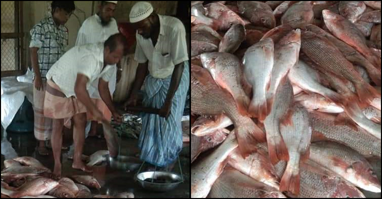 এক জালে ১৫ মণ লাল কোরাল, তিন লাখে বিক্রি