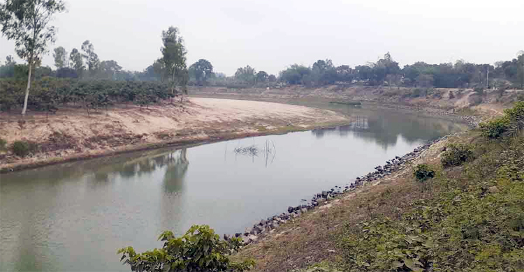 নদীতে রাতের আঁধারে কীটনাশক ঢেলে মাছ শিকার
