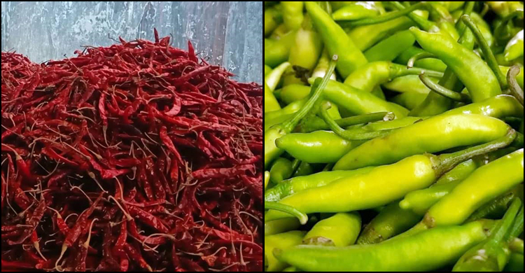 হিলিতে কমেছে কাঁচামরিচের দাম, বেড়েছে শুকনার