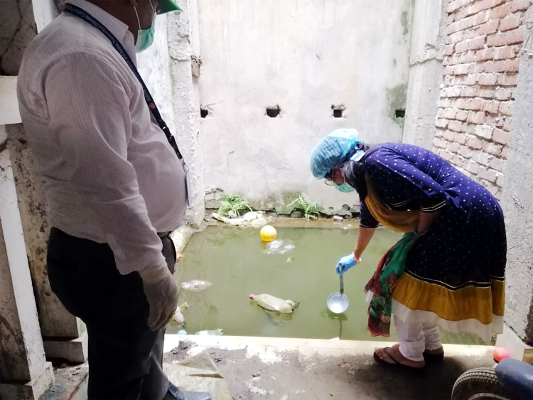 Dhaka-1