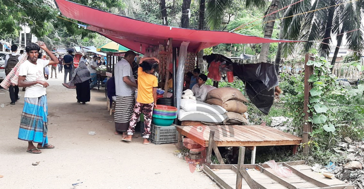 জমে উঠছে কোরবানি পশুখাদ্যের অস্থায়ী বাজার