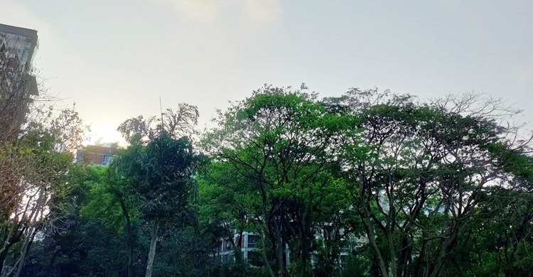 ঢাকার বায়ুর মানে উন্নতি, দূষণে শীর্ষে মুম্বাই