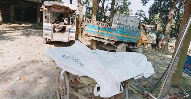 Bus kills couple in Dhamrai