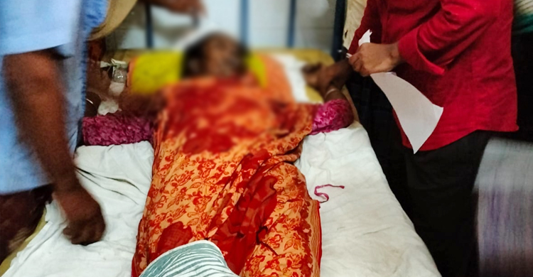 ছাদ থেকে পড়ে প্রাণ গেলো গৃহবধূর