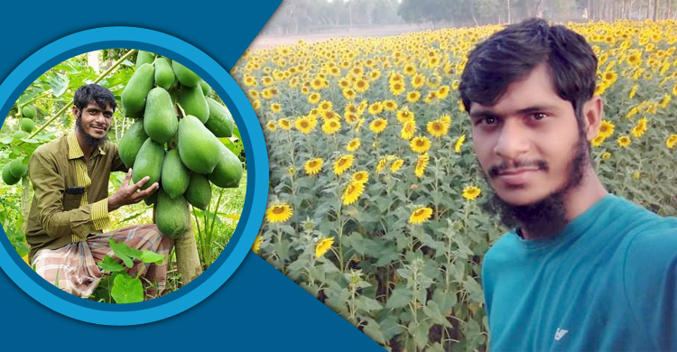 সবজি আর ফলমূল চাষে দিদারুলের ভাগ্য বদল