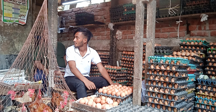 নারায়ণগঞ্জে অর্ধেকে নেমেছে ডিম বিক্রি
