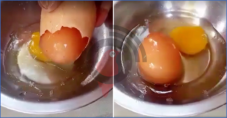 ডিমের ভেতরে মিললো আরেক ডিম