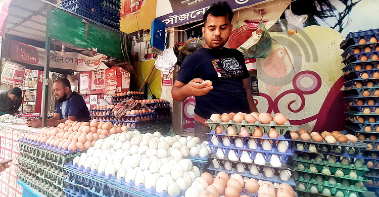 ডিম আমদানি হবে না: কৃষিমন্ত্রী