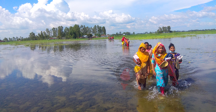 হাঁটুপানি মাড়িয়ে এসে ক্লাস করলো ক্ষুদে শিক্ষার্থীরা