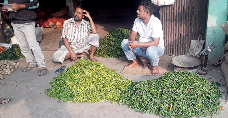 দিনাজপুরে কাঁচামরিচের কেজি ২০ টাকা