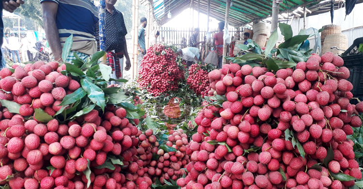 রেকর্ড দামে বিক্রি হচ্ছে দিনাজপুরের লিচু, চাহিদা তুঙ্গে