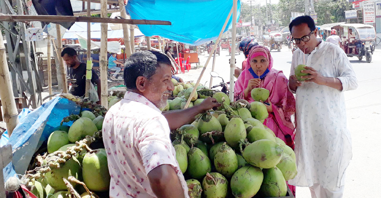 মৃদু তাপপ্রবাহে দিনাজপুরে ডাবের দামে উত্তাপ