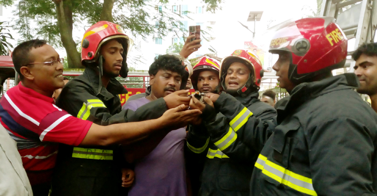 জামগাছে আটকে ছিল সারস, উদ্ধার করলো ফায়ার সার্ভিস