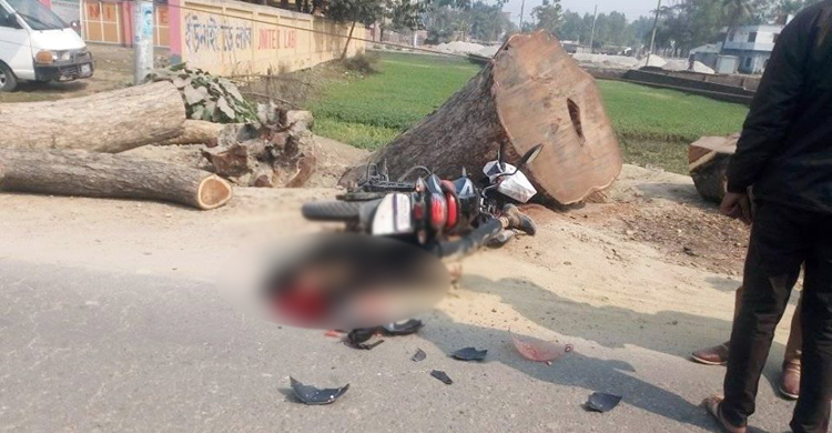 ট্রাকের চাকায় পিষ্ট হয়ে প্রাণ গেল যুবকের