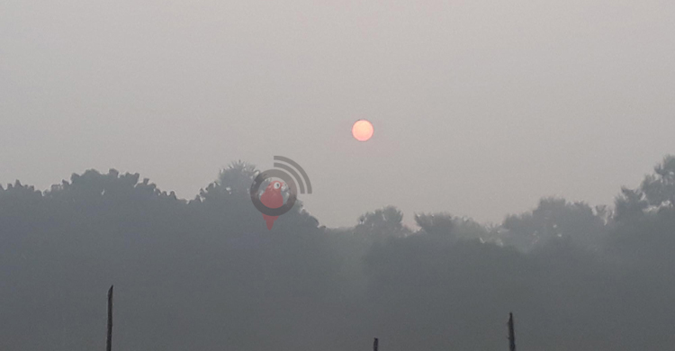 সর্বনিম্ন তাপমাত্রা দিনাজপুরে, বেড়েছে কুয়াশা ও হিমেল হাওয়া