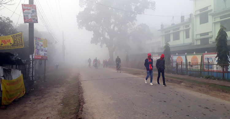 হিমেল হাওয়ায় বিপর্যস্ত দিনাজপুরের জনজীবন