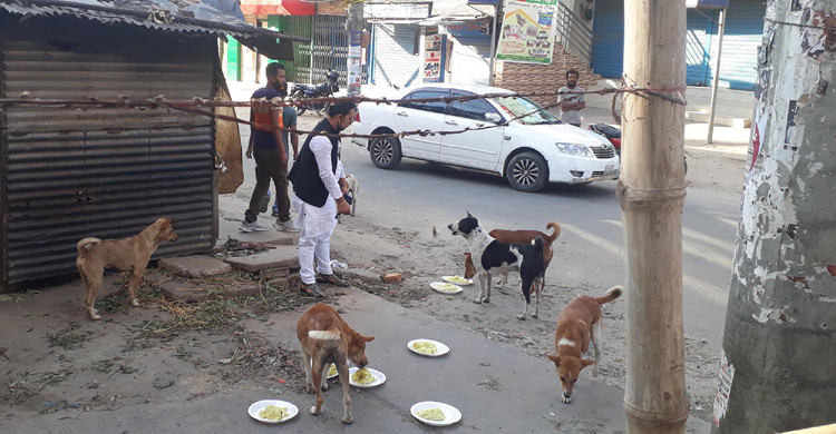 Dinajpur-love-dogs