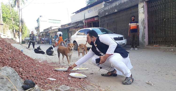 পথে পথে ঘুরে কুকুরকে খাওয়ালেন তিনি