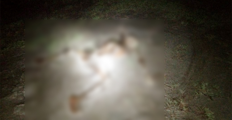 ভাসানচরে কঙ্কাল উদ্ধার