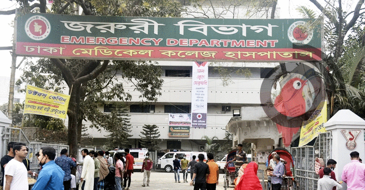 রাজধানীতে গাছ থেকে পড়ে ডিপিডিসি শ্রমিকের মৃত্যু